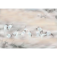 Komar Fototapete Fulfillness B/L: ca. 400x280 cm Fulfillness - (400,00/280,00cm) - Komar