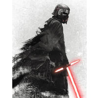 Komar Poster Star Wars EP9 Kylo Vader Shadow Star Wars B/L: ca. 30x40 cm Star Wars EP9 Kylo Vader Shadow - (30,00/40,00cm) - Komar