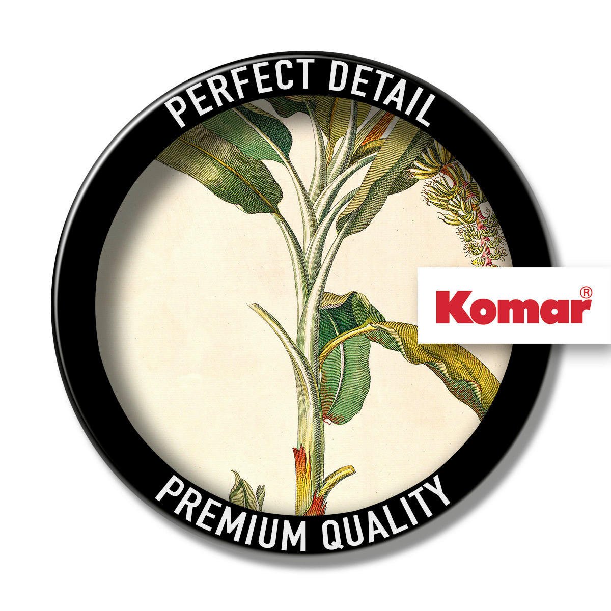 Komar Poster Rainforest Sapling Pflanzen B/L: ca. 40x50 cm Rainforest Sapling - (40,00/50,00cm) - Komar