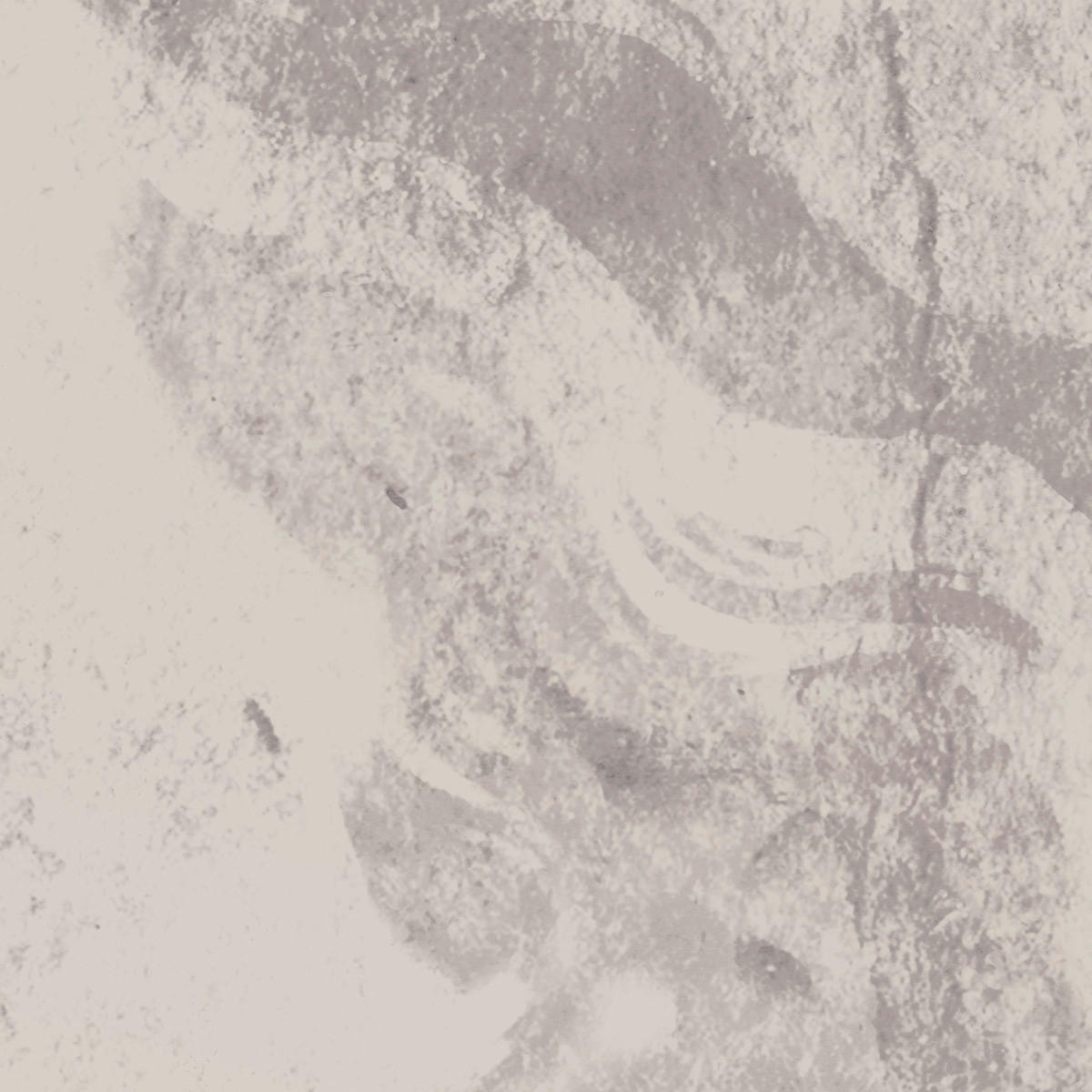 Komar Fototapete Eve B/L: ca. 300x280 cm Eve - (300,00/280,00cm) - Komar