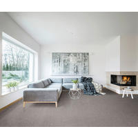 Teppichboden Olvera grau B: ca. 400 cm pro m² Olvera - grau (400,00cm)