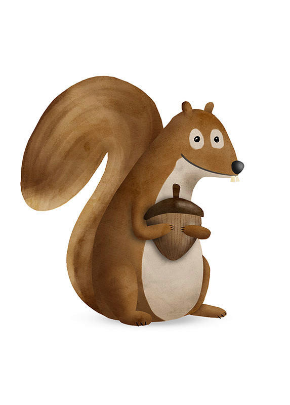 Komar Wandbild Cute Animal Squirrel Eichhörnchen B/L: ca. 50x70 cm günstig online kaufen