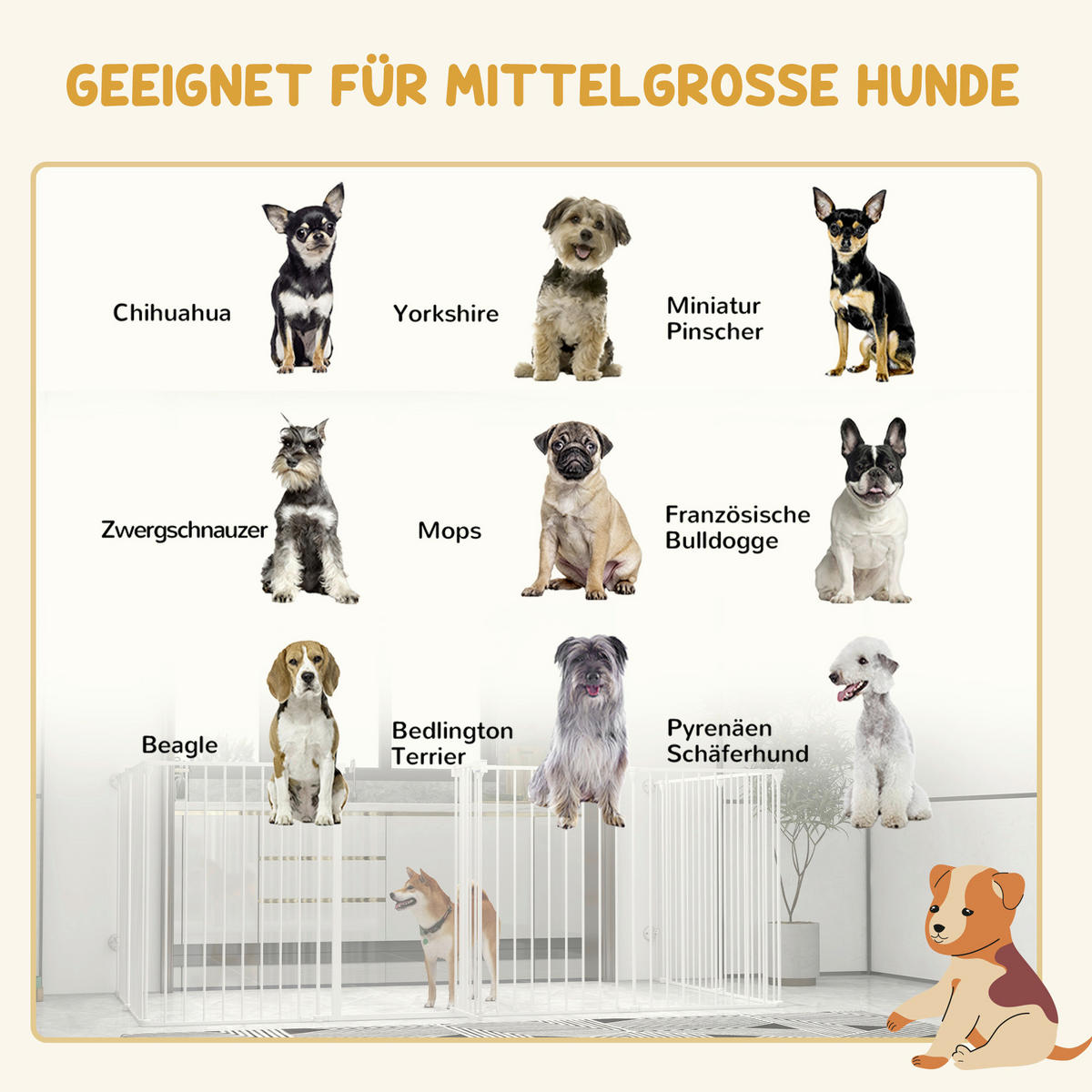 PawHut Gehege weiß Edelstahl B/H/L: ca. 154x154x90 cm Freilaufgehege - weiß (90,00/154,00/154,00cm) - PawHut
