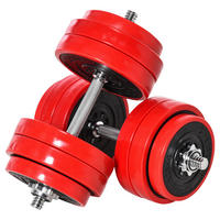 HOMCOM Hantelset Hantelset - rot (45067,00/45067,00/45141,00cm) - HOMCOM