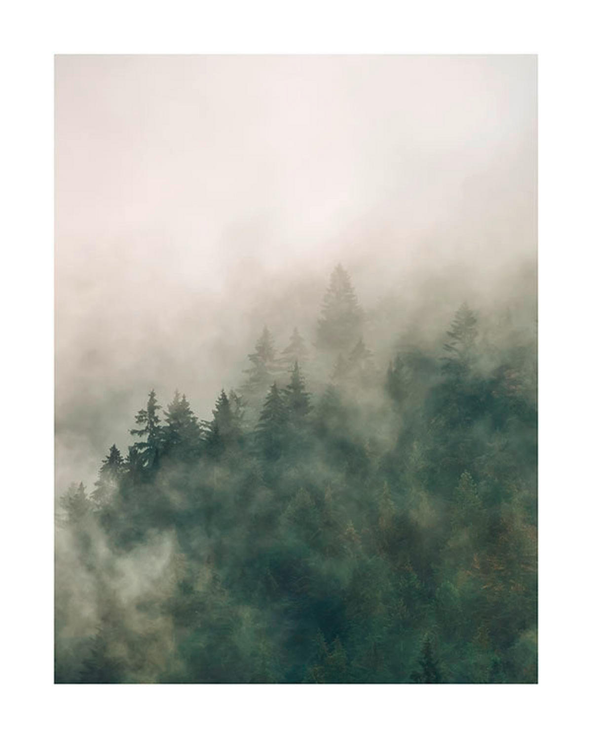 Komar Poster Tales of the Carpathians Wald B/L: ca. 40x50 cm Tales of the Carpathians - (40,00/50,00cm) - Komar