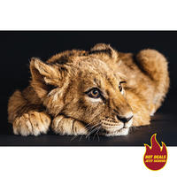 Keilrahmenbild Keilrahmenbild 116x76cm - (76,00/116,00cm)