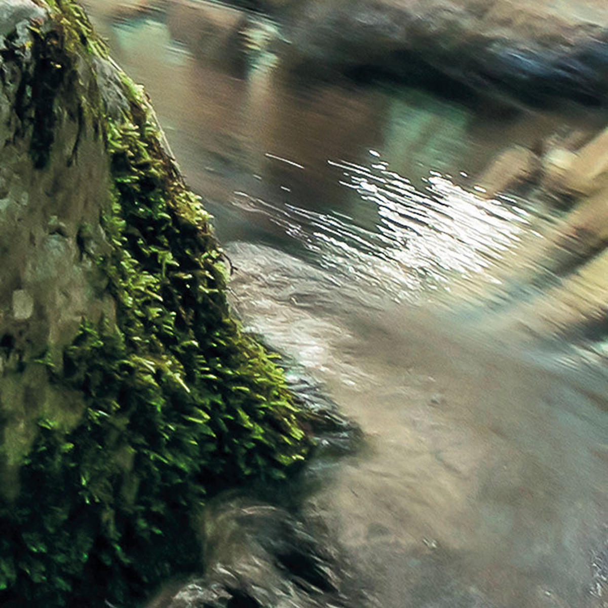 Komar Fototapete Tranquil Pool B/L: ca. 400x250 cm Tranquil Pool - (400,00/250,00cm) - Komar