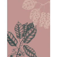 Komar Poster Wild Berry Pflanzen B/L: ca. 30x40 cm Wild Berry - (30,00/40,00cm) - Komar