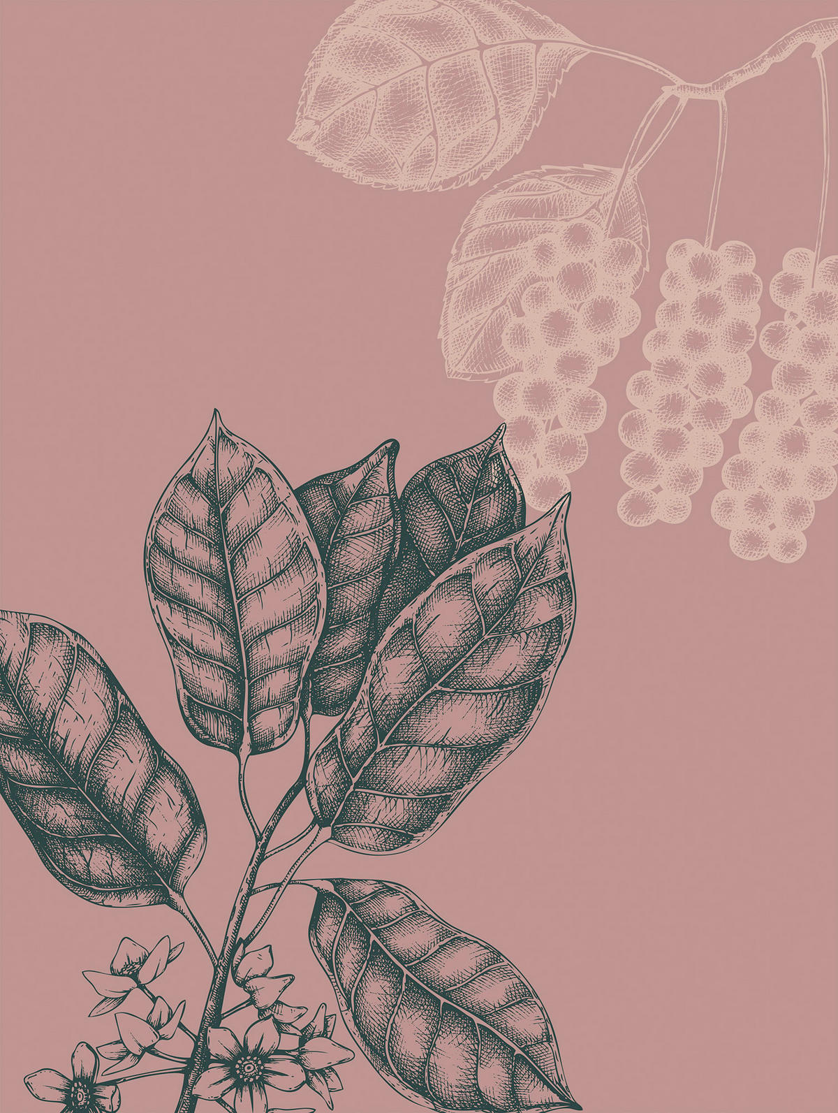 Komar Poster Wild Berry Pflanzen B/L: ca. 30x40 cm Wild Berry - (30,00/40,00cm) - Komar