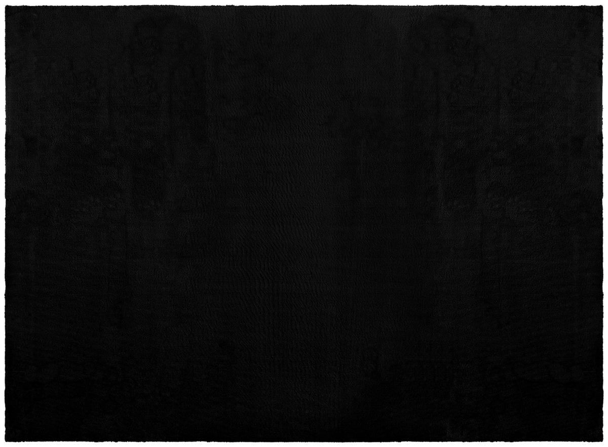 Teppich Bobby schwarz B/L: ca. 160x220 cm Bobby - schwarz (160,00/220,00cm)