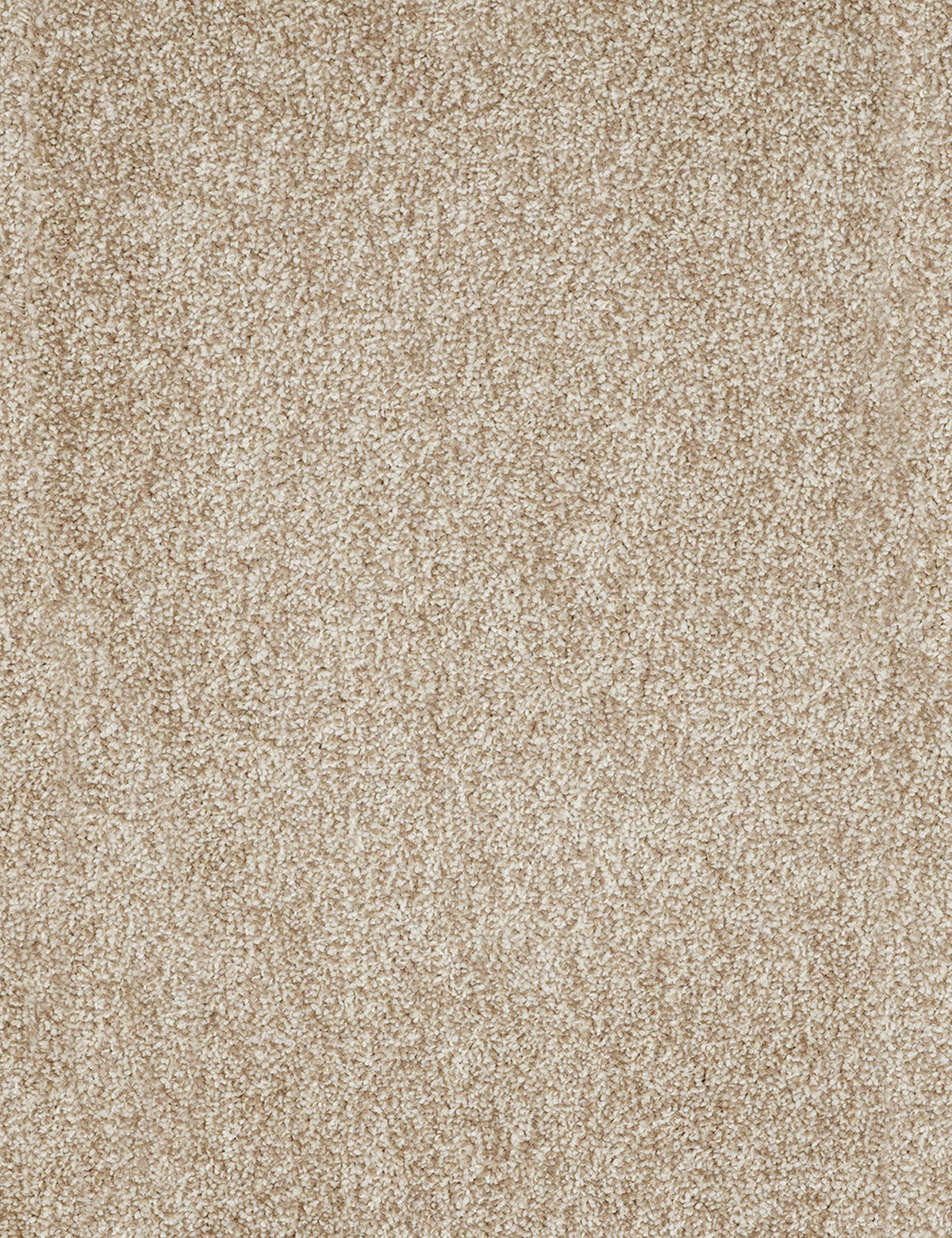 Teppichboden Kent beige B: ca. 400 cm pro m² Kent - beige (400,00cm)