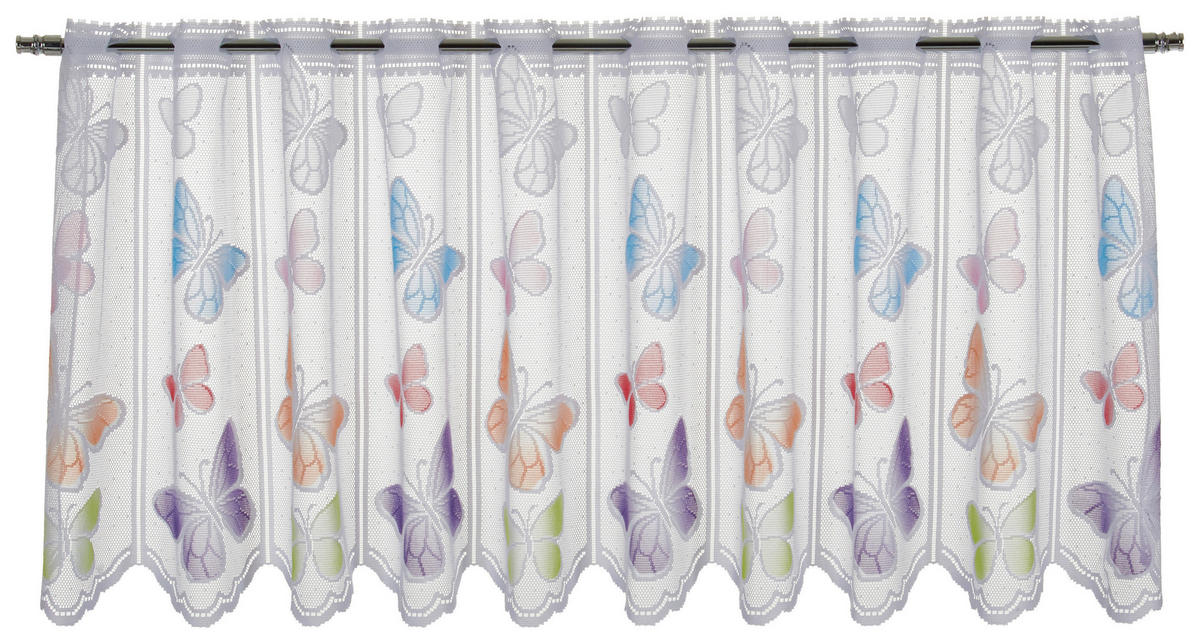 bunt bei 145x45 ▷ online cm Scheibengardine ca. Schmetterling B/L: POCO kaufen