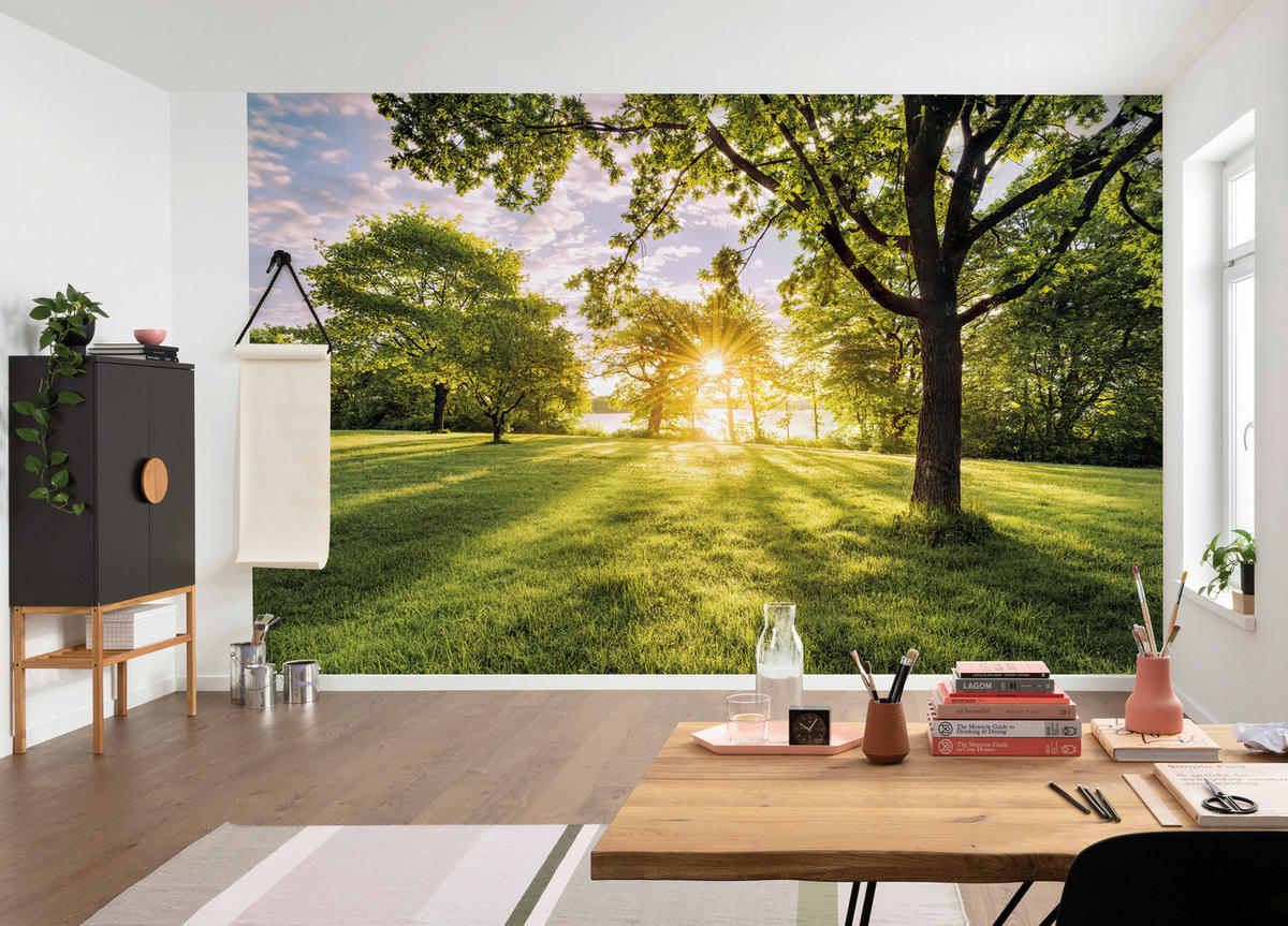 Komar Fototapete Golden Moment B/L: ca. 400x250 cm Golden Moment - (400,00/250,00cm) - Komar