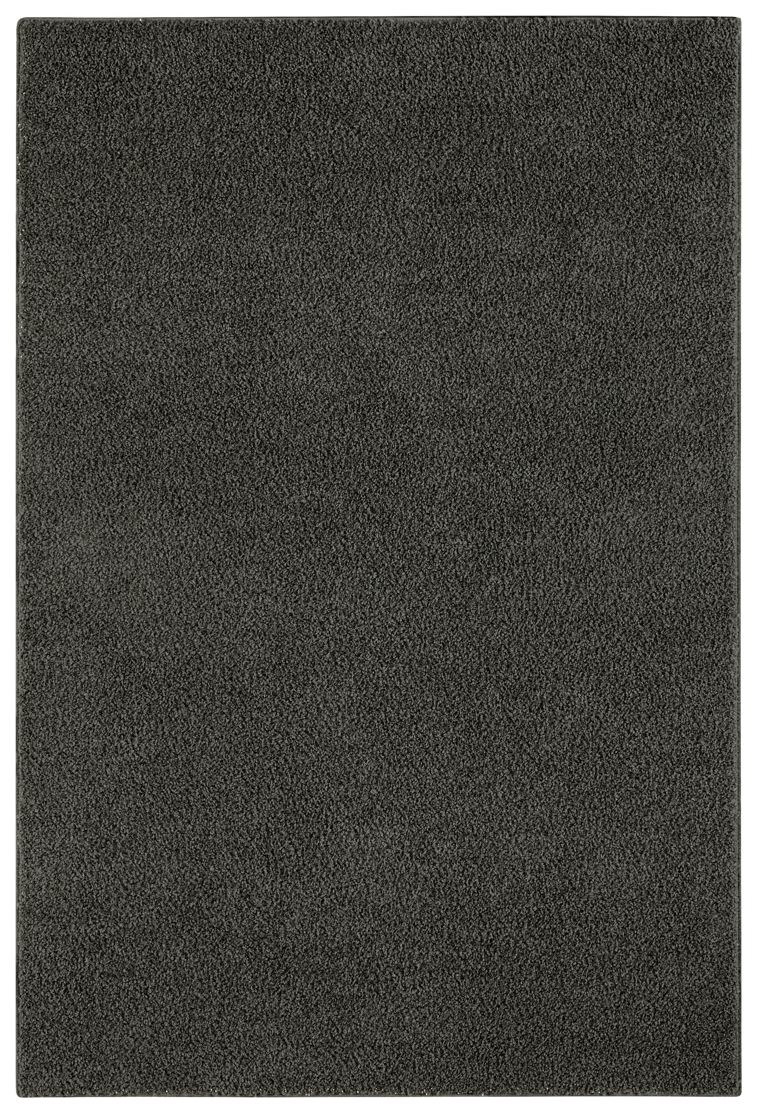Langflorteppich Softissimo anthrazit B/L: ca. 57x120 cm Softissimo - anthrazit (57,00/120,00cm)