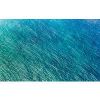 Komar Fototapete Blaupause B/L: ca. 400x250 cm Blaupause - (400,00/250,00cm) - Komar