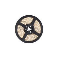 GLOBO LED-Streifen LED BAND klar B/H/T: ca. 1x0,3x495 cm LED BAND - klar (1,00/0,30/495,00cm) - GLOBO