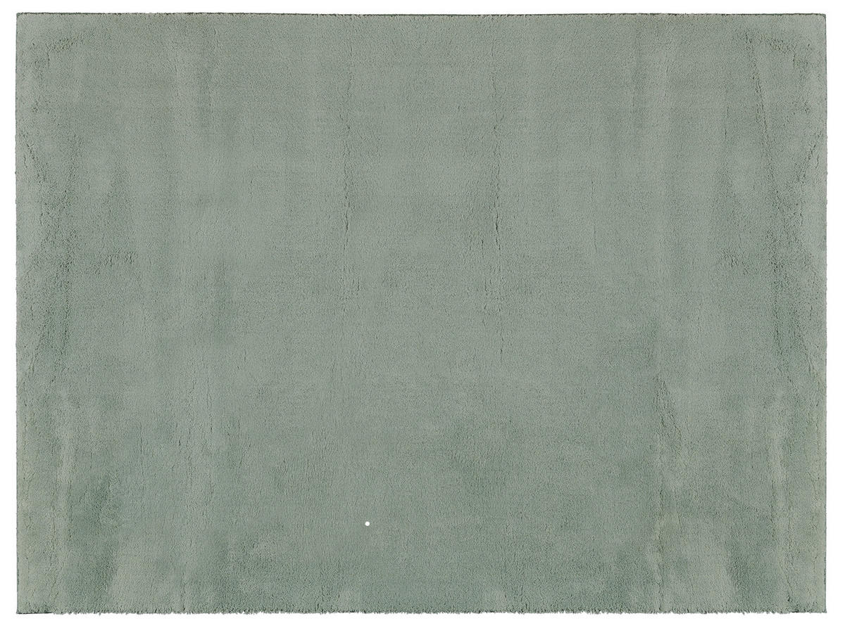 Teppich Loft grün B/L: ca. 160x220 cm Loft - grün (160,00/220,00cm)