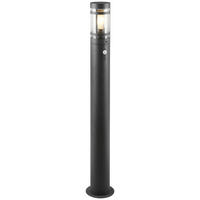 Wegeleuchte Paloma R41719142 anthrazit transparent H/D: ca. 100x15 cm Paloma - anthrazit/transparent (15,00/100,00cm) - Reality