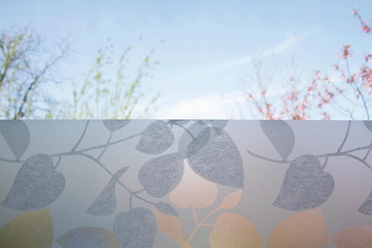 d-c-fix Fensterfolie Blätter transparent B/L: ca. 67,5x150 cm Fensterfolie_d-c-fix_F3348018 - transparent (67,50/150,00cm) - d-c-fix