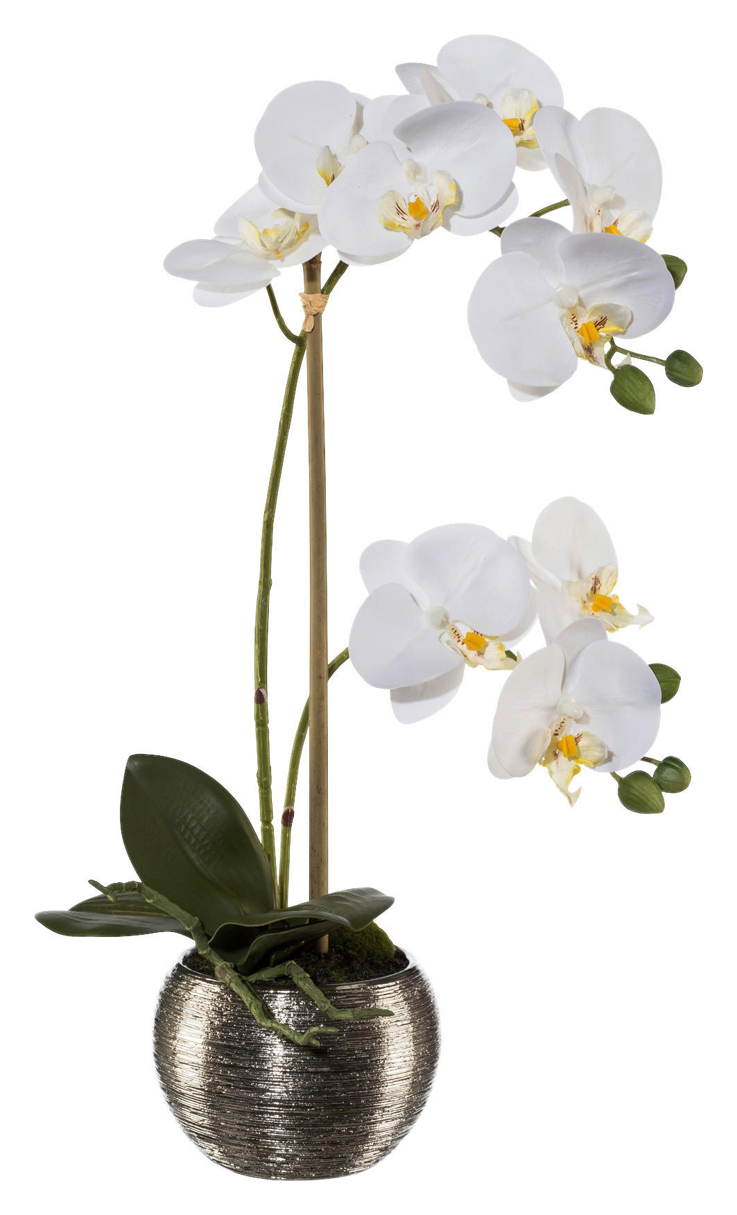 Orchidee weiß Kunststoff H: ca. 42 cm