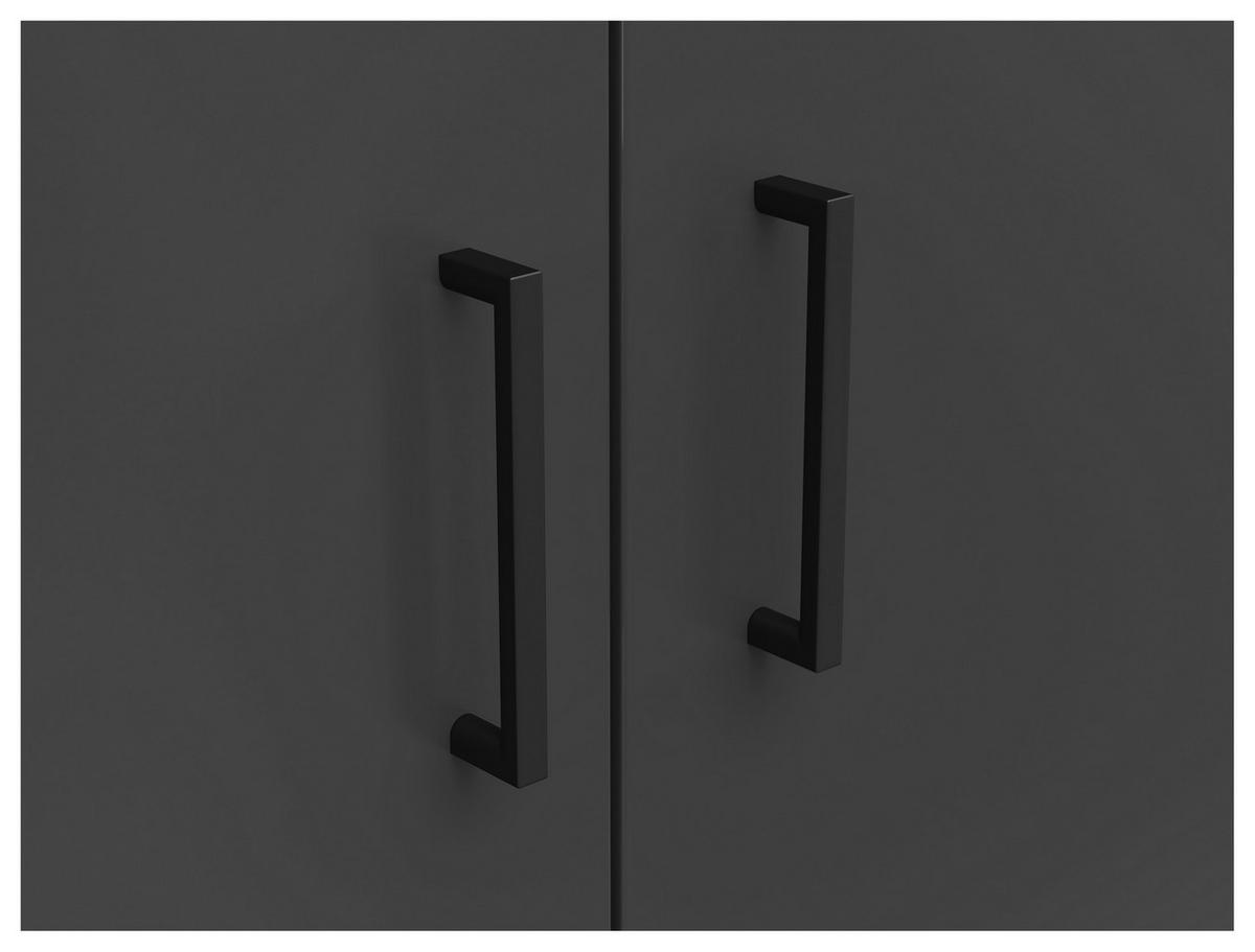 Schrank Multi-Stauraum Typ 39 anthrazit B/H/T: ca. 80x195x52 cm Multi-Stauraum Typ 39 - anthrazit (80,00/195,00/52,00cm)