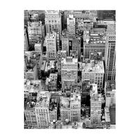 Komar Poster Roof Top Stadt B/L: ca. 40x50 cm Roof Top - (40,00/50,00cm) - Komar