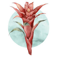 Komar Poster Funky Flower Blume B/L: ca. 50x70 cm Funky Flower - (50,00/70,00cm) - Komar