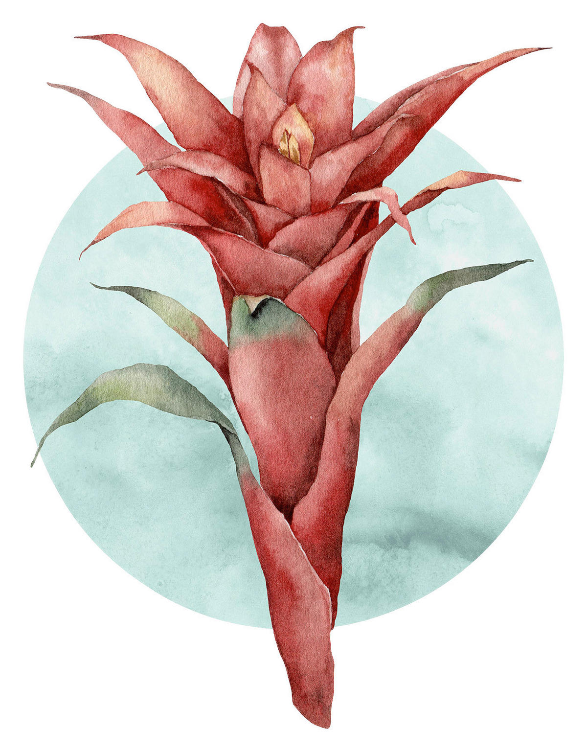Komar Poster Funky Flower Blume B/L: ca. 50x70 cm Funky Flower - (50,00/70,00cm) - Komar