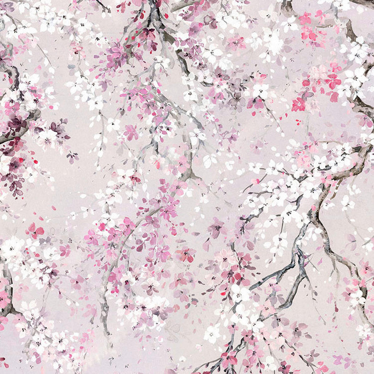 Komar Fototapete Kirschblüten B/L: ca. 300x280 cm Kirschblüten - (300,00/280,00cm) - Komar