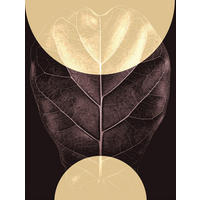 Komar Poster Shadow Theatre Blätter B/L: ca. 30x40 cm Shadow Theatre - (30,00/40,00cm) - Komar