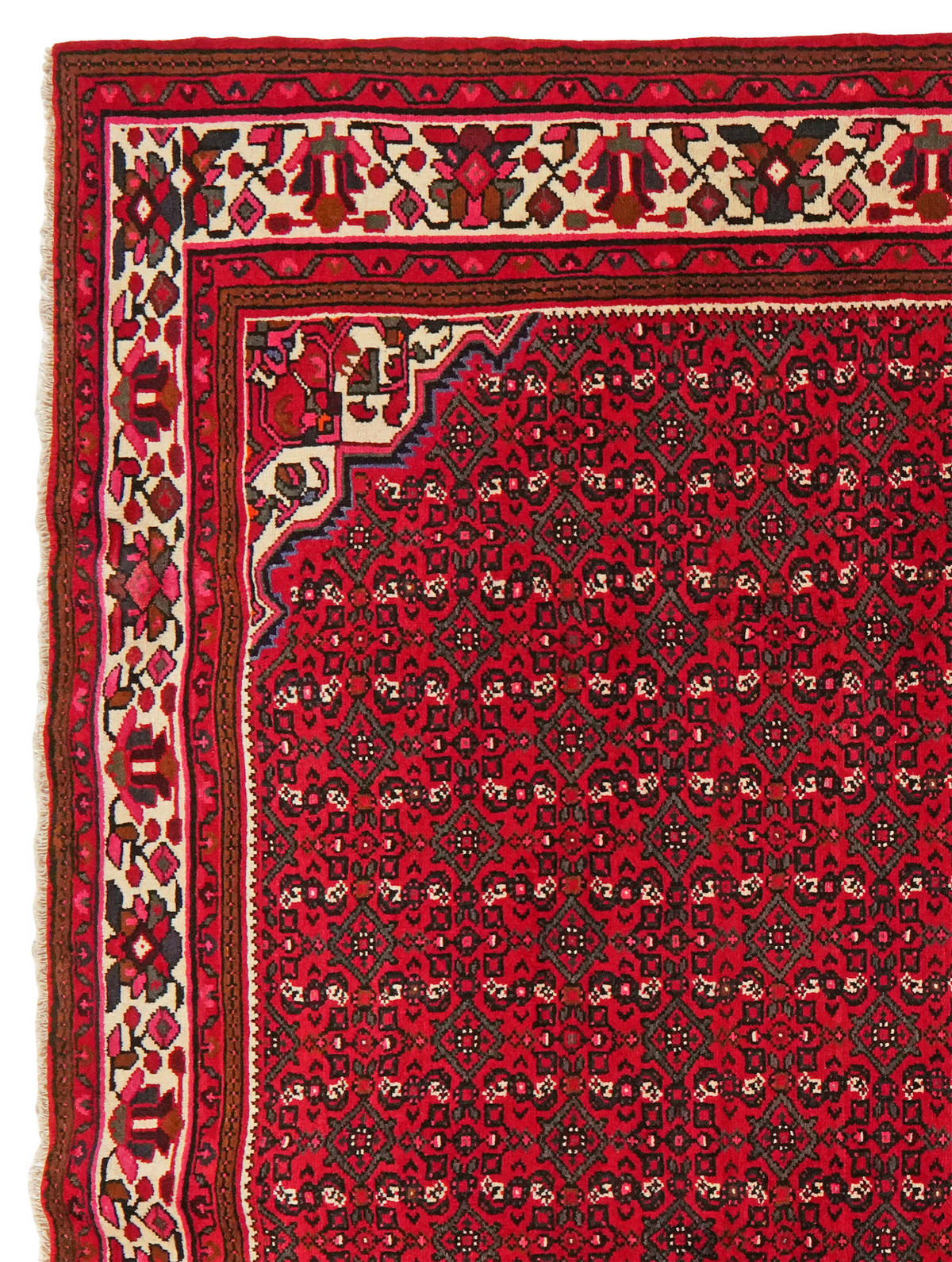 PersaTepp Teppich Hosseinabad rot B/L: ca. 212x295 cm Hosseinabad - rot (212,00/295,00cm) - PersaTepp