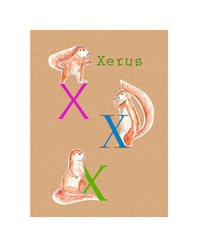 Komar Poster ABC Animal X Buchstaben B/L: ca. 40x50 cm günstig online kaufen