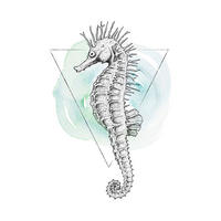 Komar Poster Sea Horse Watercolor Tiere B/L: ca. 50x70 cm Sea Horse Watercolor - (50,00/70,00cm) - Komar