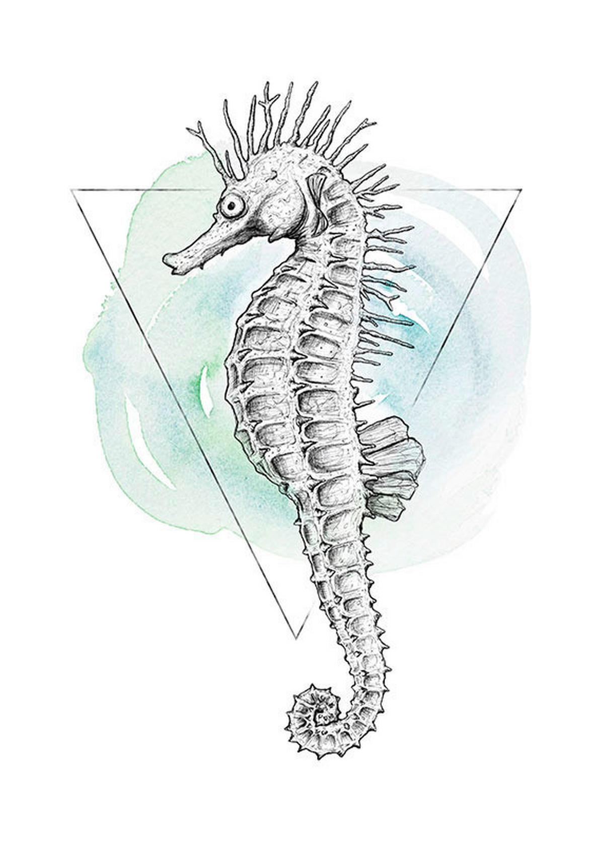 Komar Poster Sea Horse Watercolor Tiere B/L: ca. 50x70 cm Sea Horse Watercolor - (50,00/70,00cm) - Komar