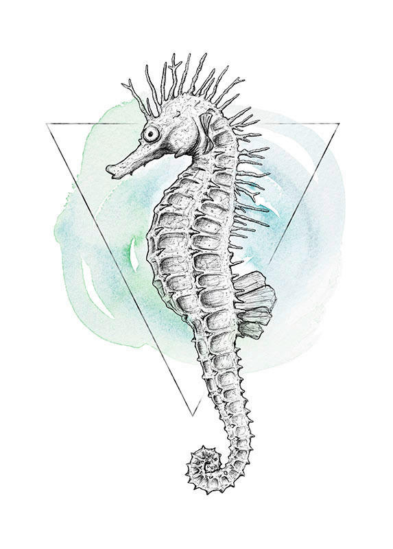 Komar Poster Sea Horse Watercolor Tiere B/L: ca. 50x70 cm günstig online kaufen