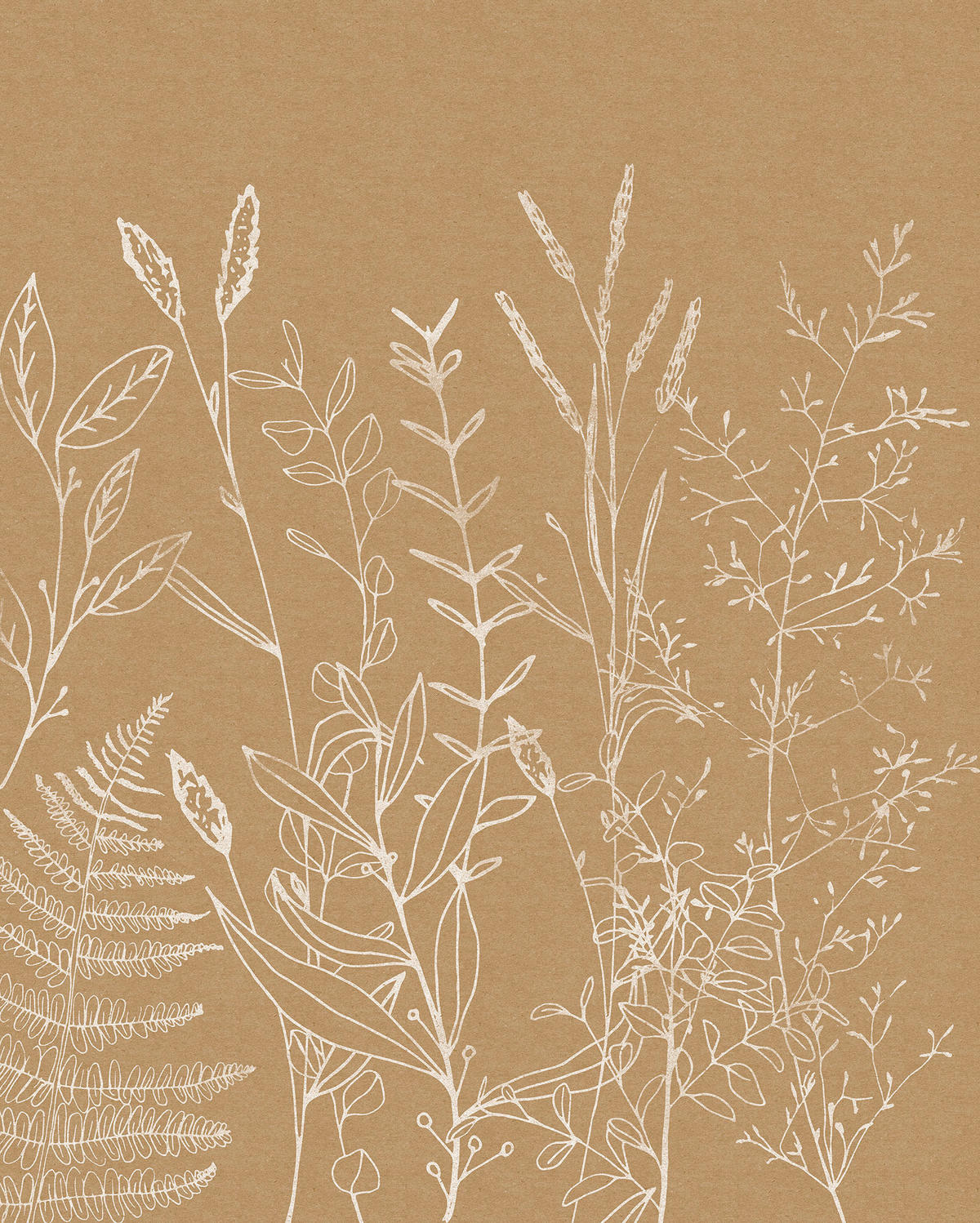 Komar Fototapete Herbs Garden B/L: ca. 200x250 cm Herbs Garden - (200,00/250,00cm) - Komar
