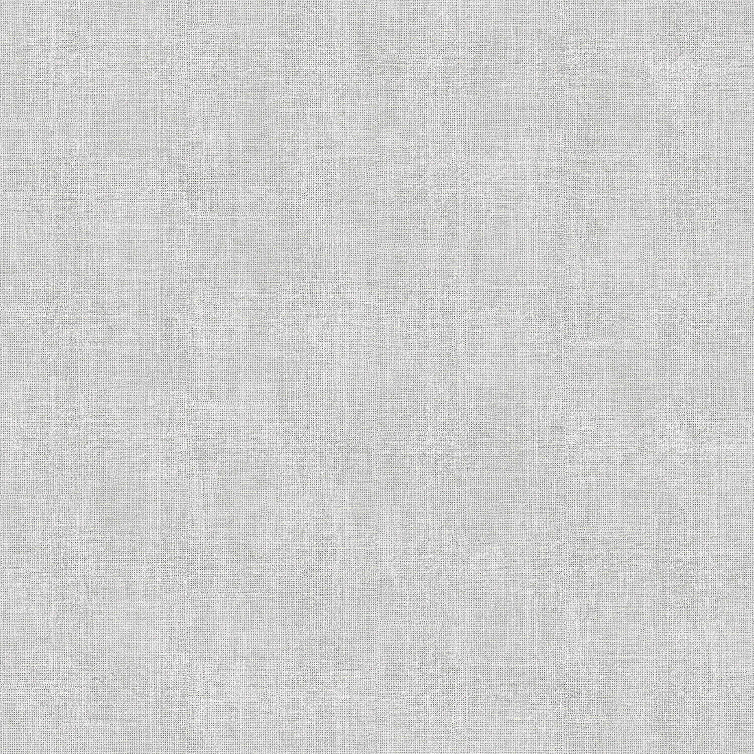 Papiertapete Uni hellgrau B/L: ca. 53x1005 cm Papiertapete_L90829 - hellgrau (53,00/1005,00cm)
