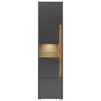 Standvitrine City Eiche Wotan Nachbildung anthrazit B/H/T: ca. 50x197x40 cm City - Eiche/anthrazit (50,00/197,00/40,00cm)