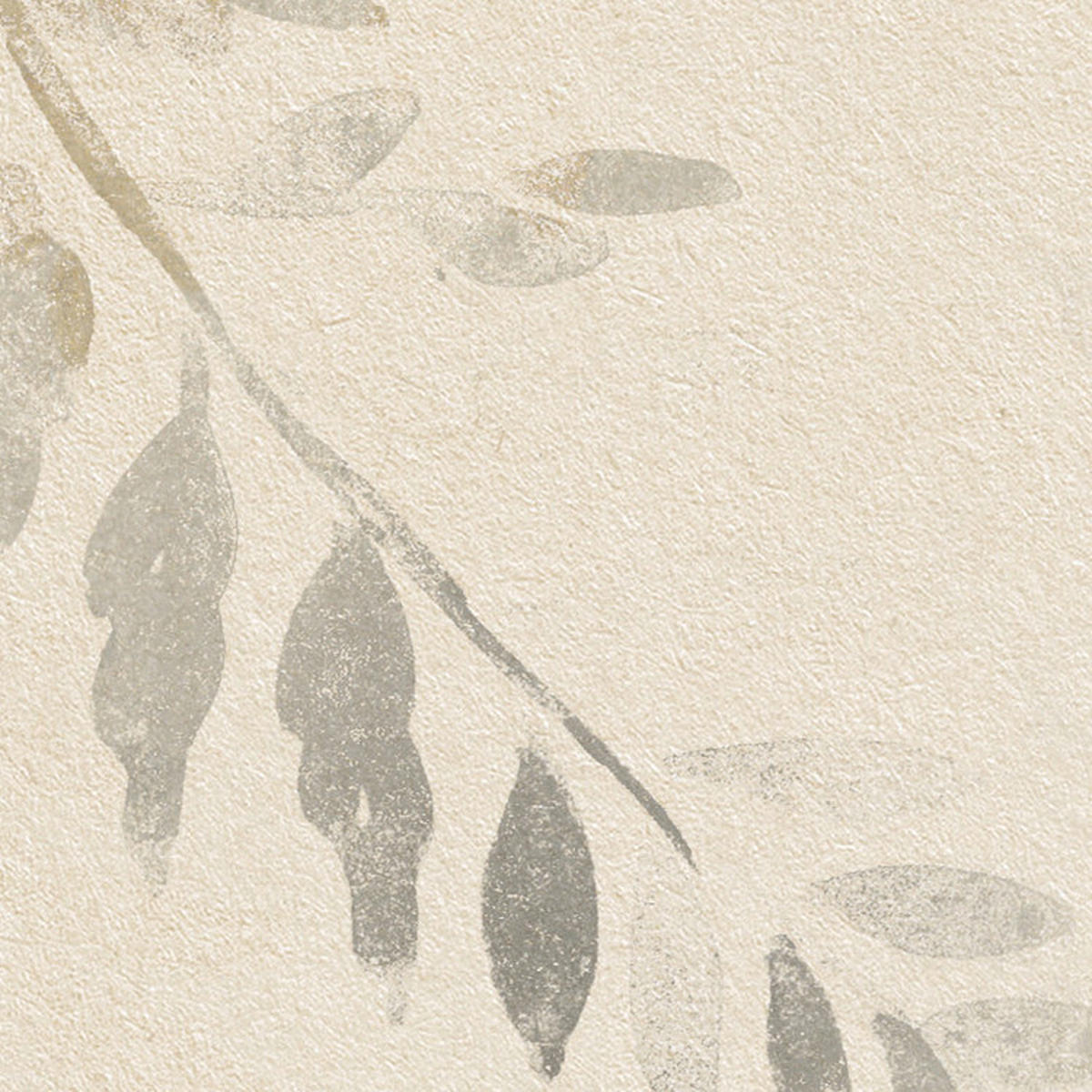 Komar Fototapete Herbarium B/L: ca. 200x250 cm Herbarium - (200,00/250,00cm) - Komar