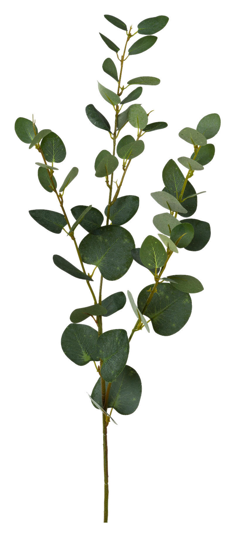 Kunstpflanze grün Kunststoff H: ca. 79 cm Eukalyptuszweig - grün (79,00cm)