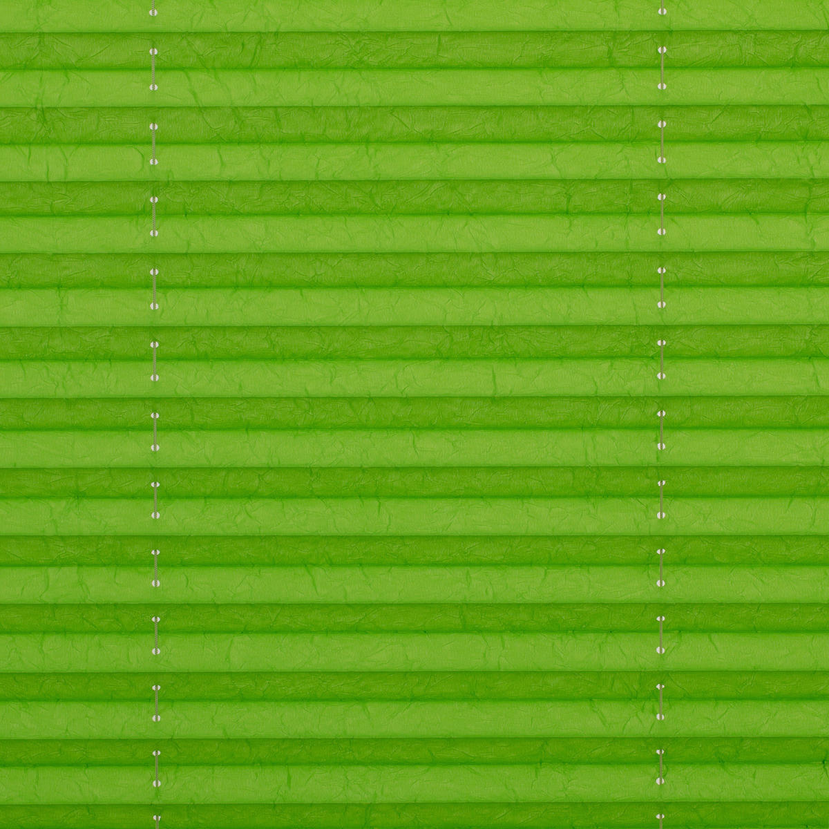 LICHTBLICK Spannplissee grün B/L: ca. 95x130 cm Plissee_Klemmfix - grün (95,00/130,00cm) - LICHTBLICK