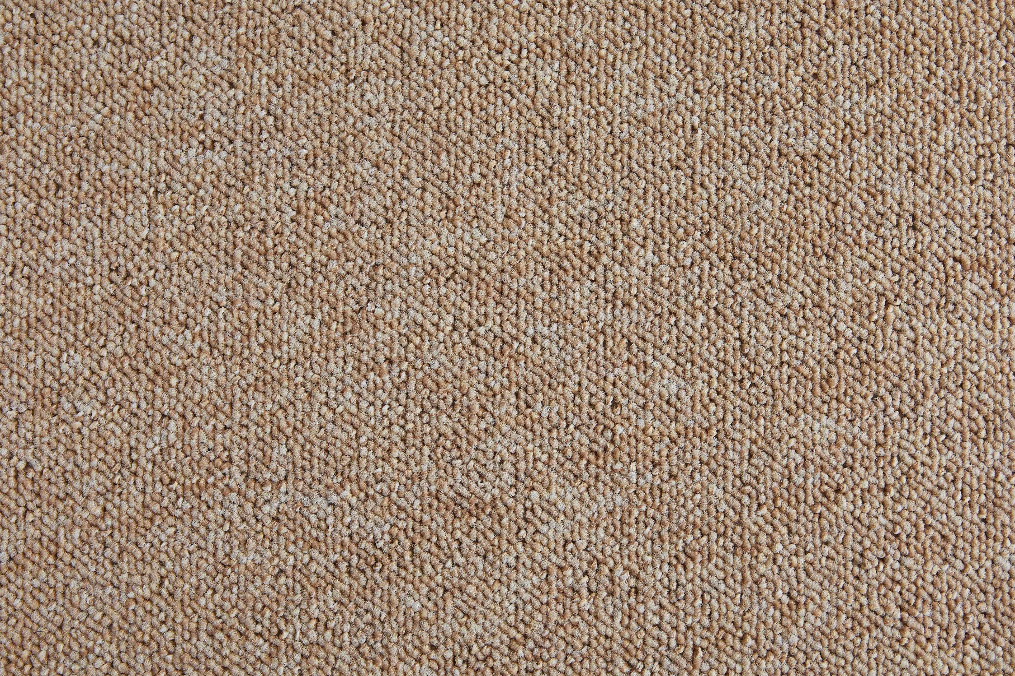 Teppichboden Rico beige B/L: ca. 200x300 cm pro Stück Rico - beige (200,00/300,00cm)