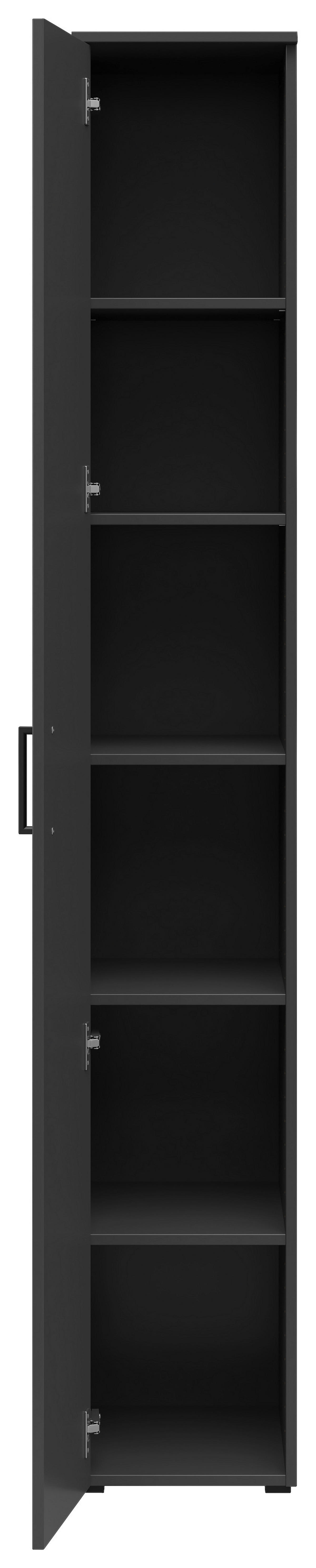 Schrank Multi-Stauraum Typ 8 anthrazit B/H/T: ca. 30x195x40 cm Multi-Stauraum Typ 8 - anthrazit (30,00/195,00/40,00cm)