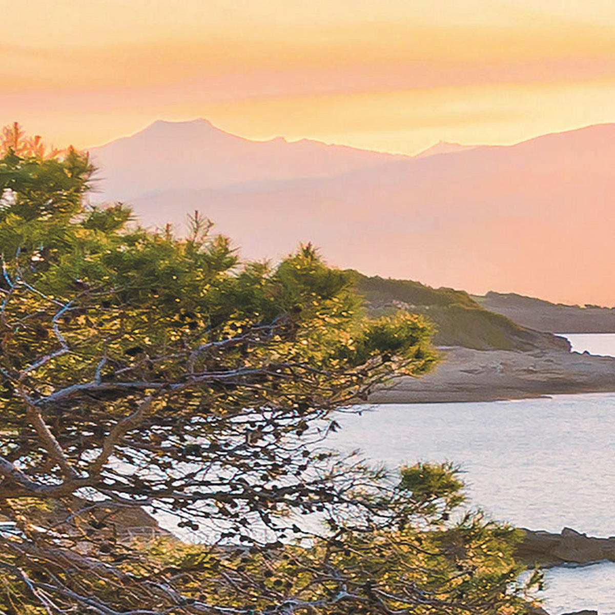 Komar Fototapete Southern Light B/L: ca. 400x250 cm Southern Light - (400,00/250,00cm) - Komar