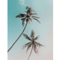 Komar Poster Miami Palms Palmen B/L: ca. 30x40 cm Miami Palms - (30,00/40,00cm) - Komar