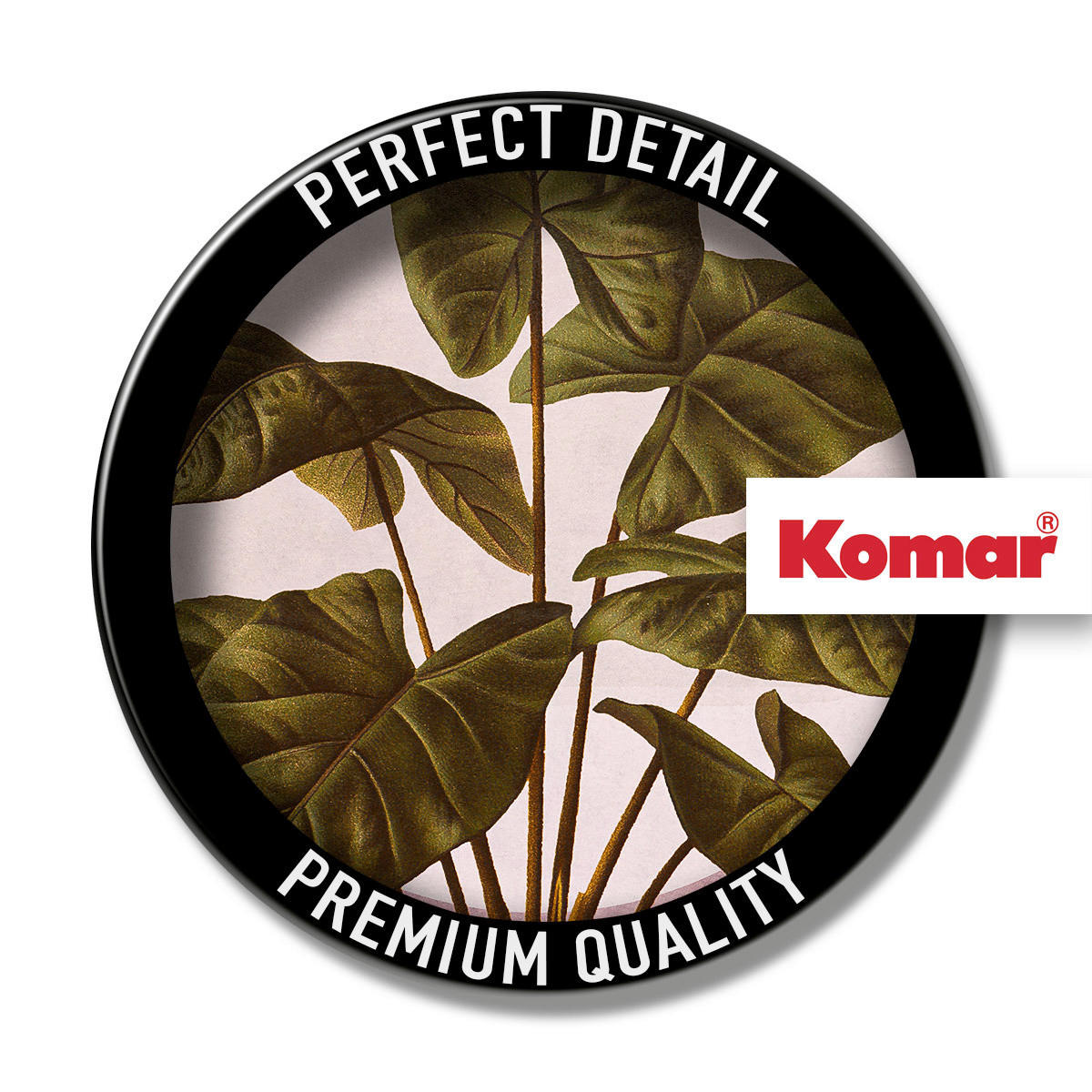 Komar Poster Créatures Végétales Créatures Végétales - Komar