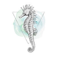 Komar Poster Sea Horse Watercolor Tiere B/L: ca. 30x40 cm Sea Horse Watercolor - (30,00/40,00cm) - Komar