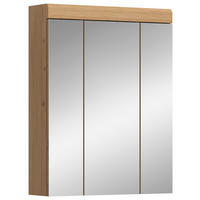 Spiegelschrank Scout Eiche Artisan Nachbildung salbei Nachbildung B/H/T: ca. 60x79x18 cm Scout - Eiche/salbei (60,00/79,00/18,00cm) - xonox.home