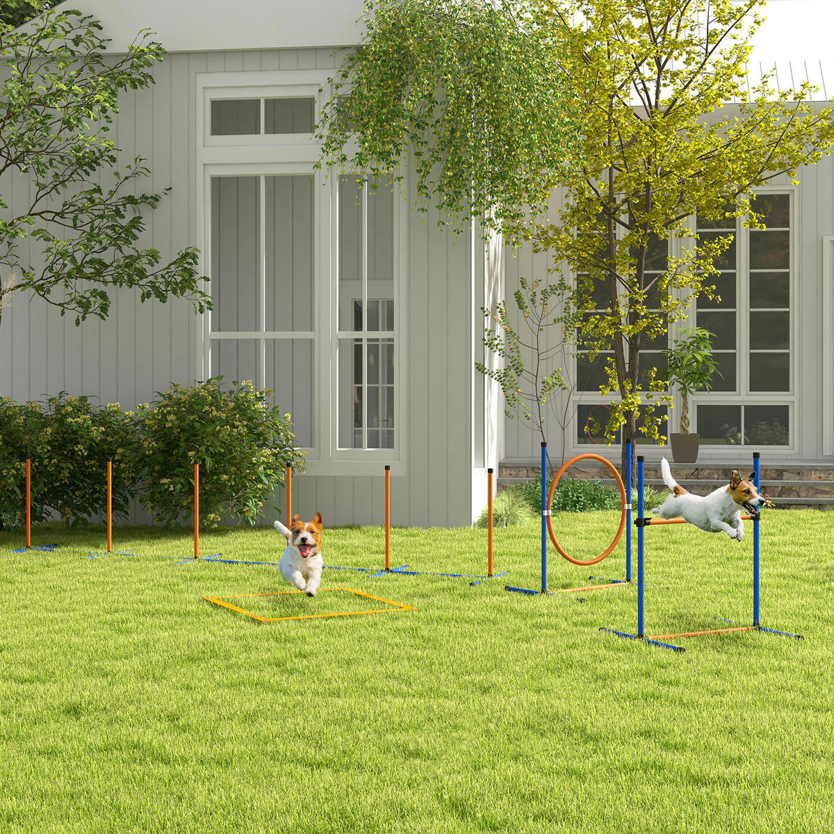 PawHut Hunde-Agility-Set orange Polyester-Mischgewebe B/H/L: ca. 66x69x352 cm Hunde-Agility-Set - blau/orange (352,00/66,00/69,00cm) - PawHut