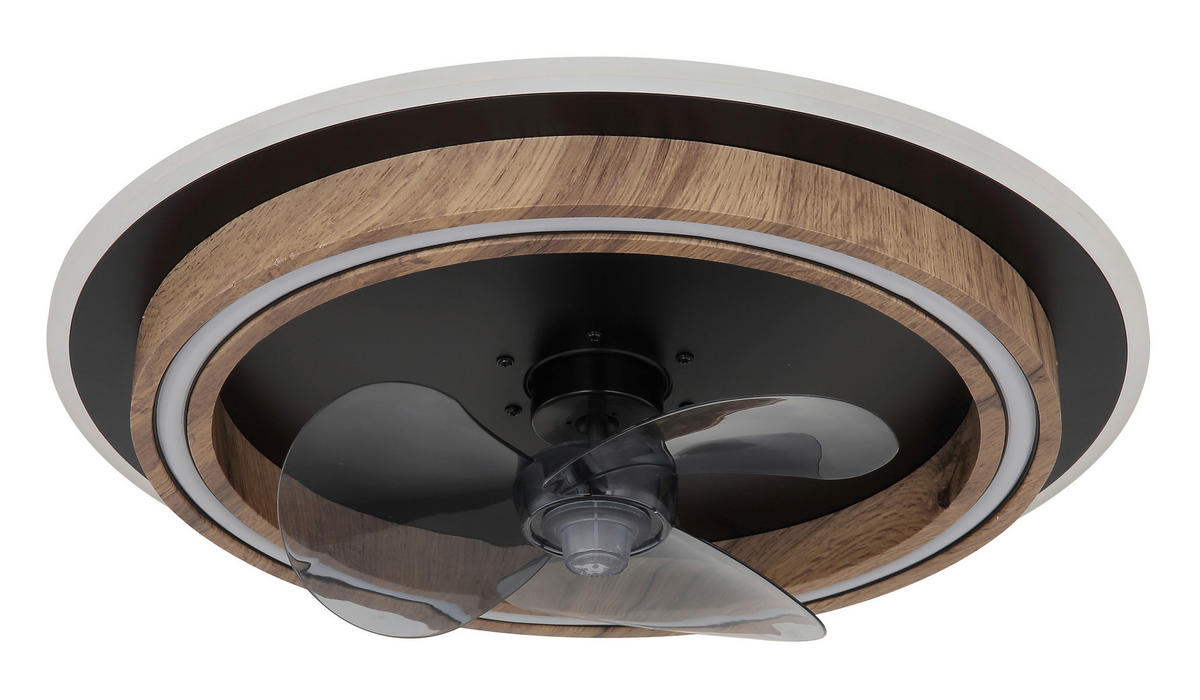 GLOBO Deckenventilator Opal schwarz dunkelbraun H/D: ca. 13,5x50 cm max. 32 W BOZAN - dunkelbraun/schwarz (50,00/13,50cm) - GLOBO